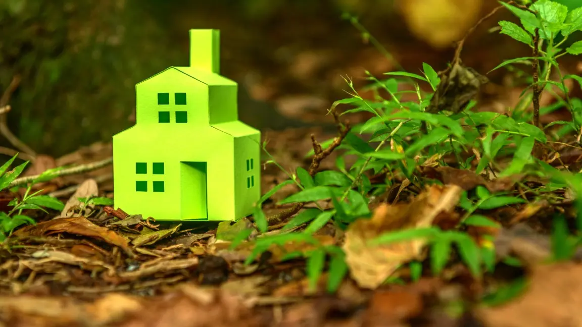 Eco Friendly Green Homes: Everything You Need to Know!