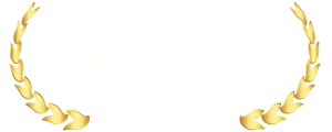 An Logo of The Times of India